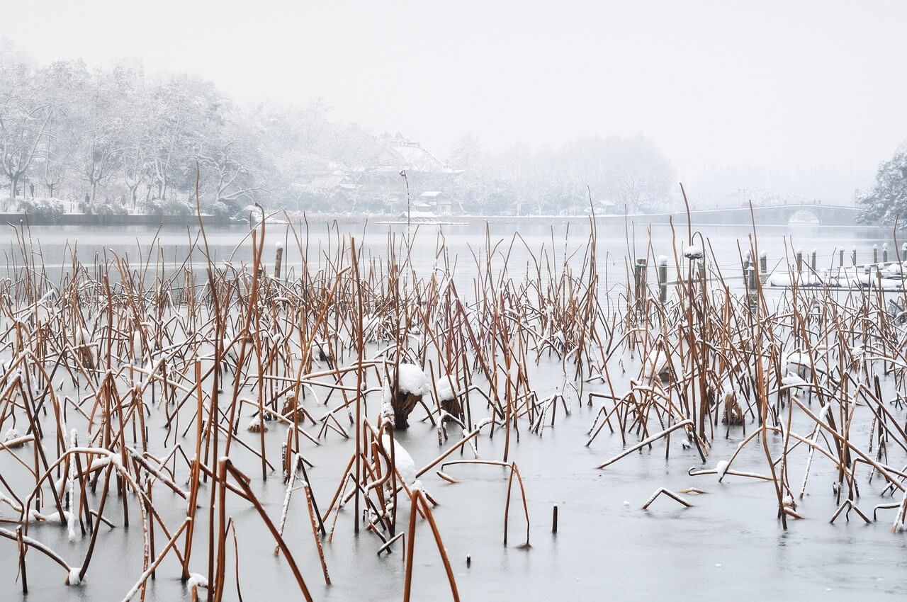 冬季西湖